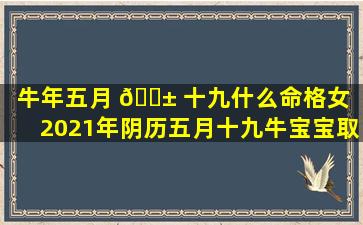 牛年五月 🐱 十九什么命格女「2021年阴历五月十九牛宝宝取名」